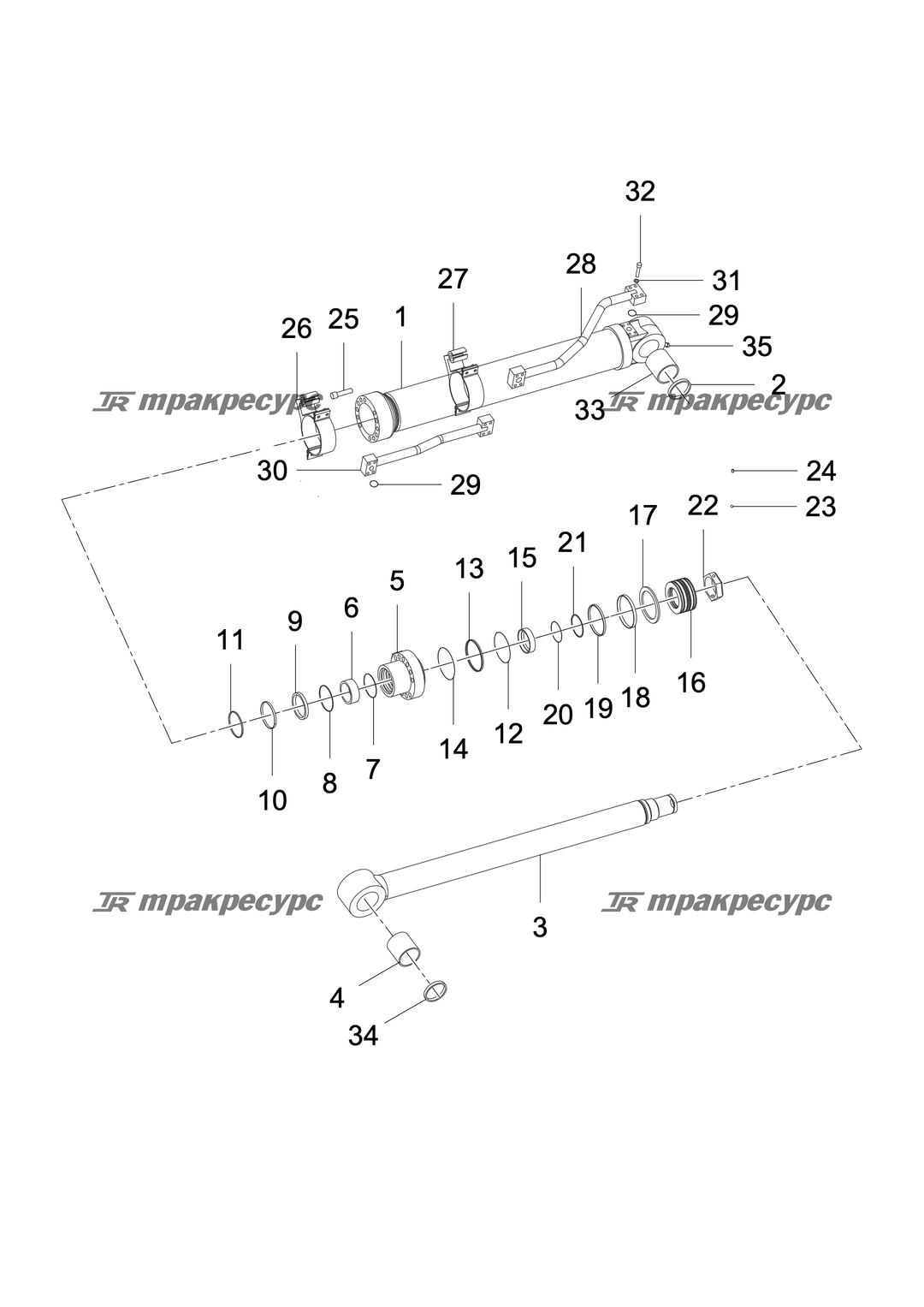 P000003064A2.png