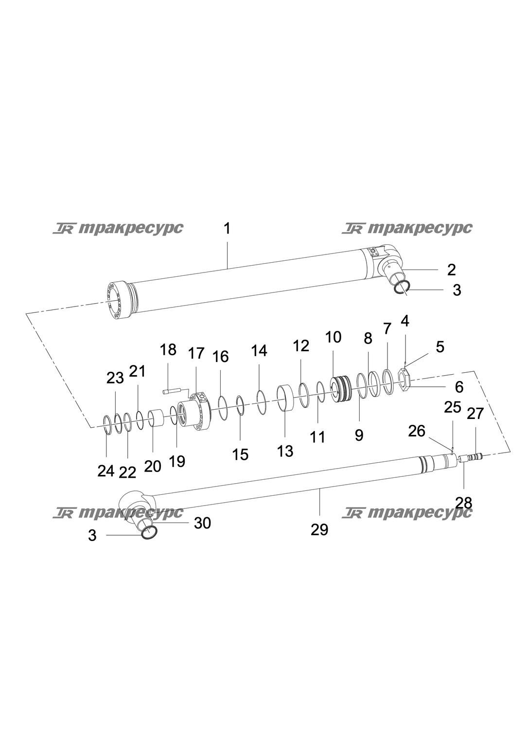 P000003083A2.png
