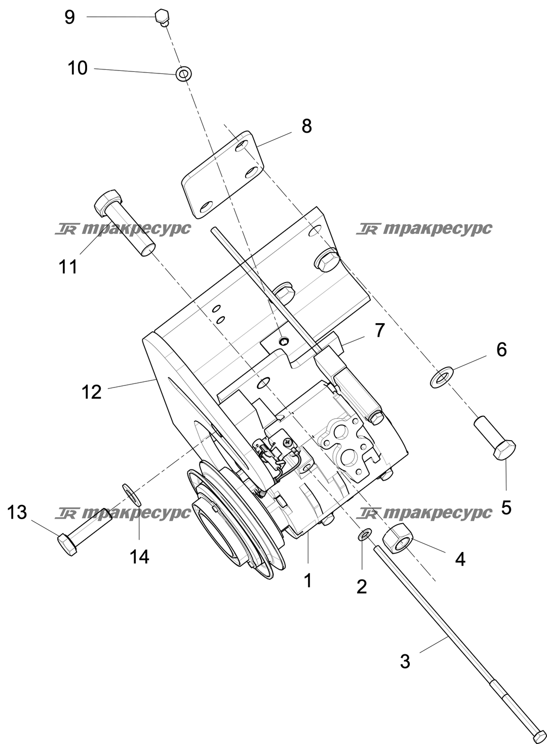 P000003127A17.png