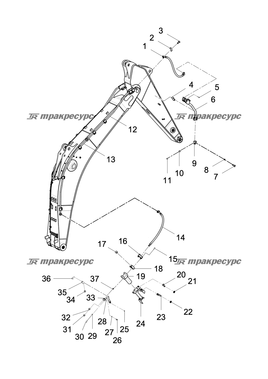 P000003181A2.png