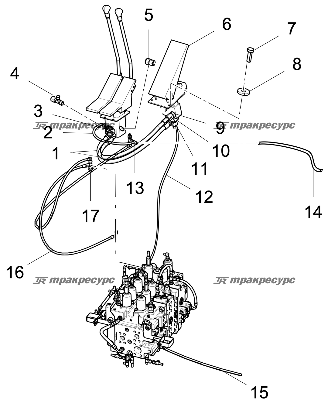 P000003185A2.png