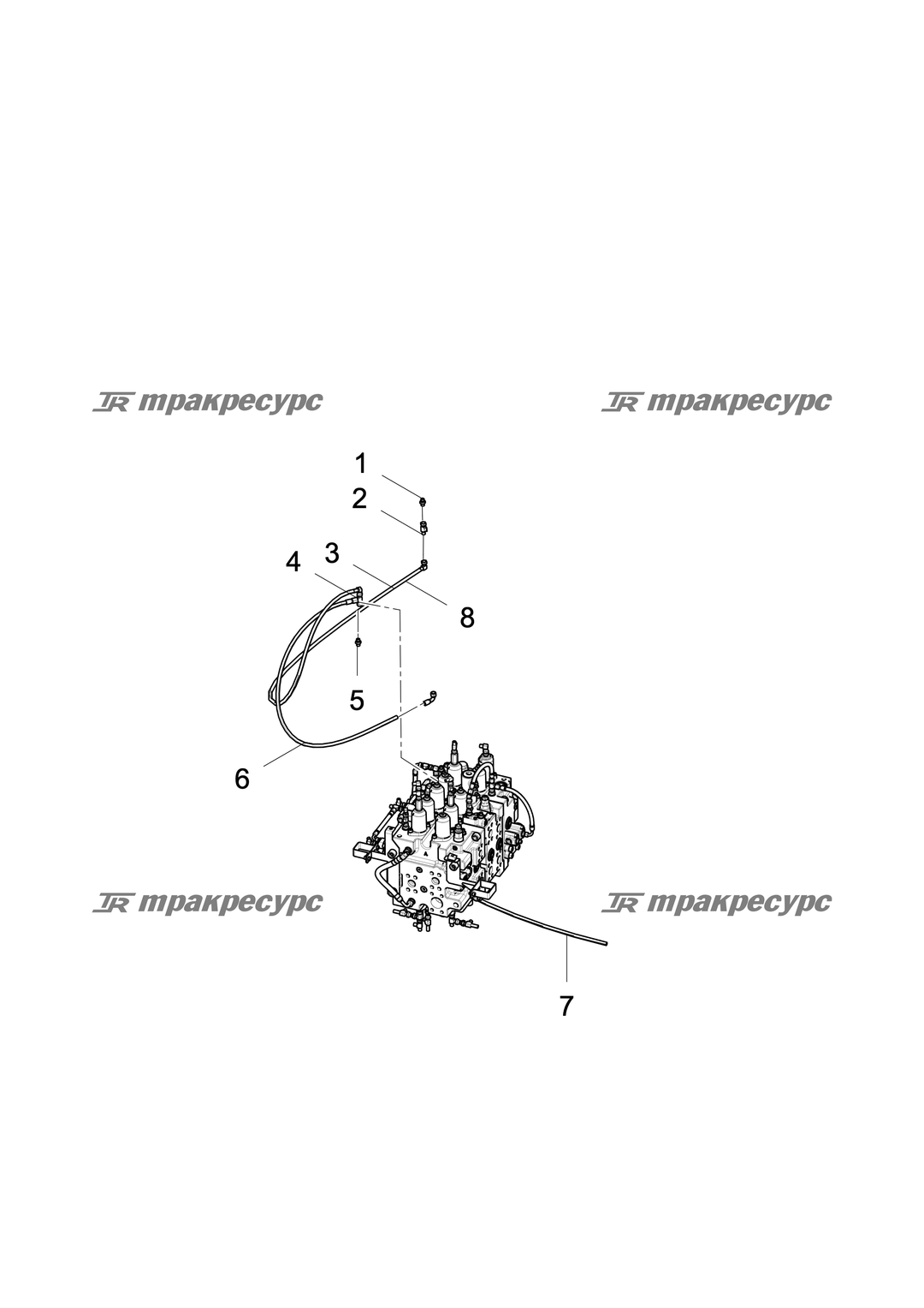 P000003186A2.png