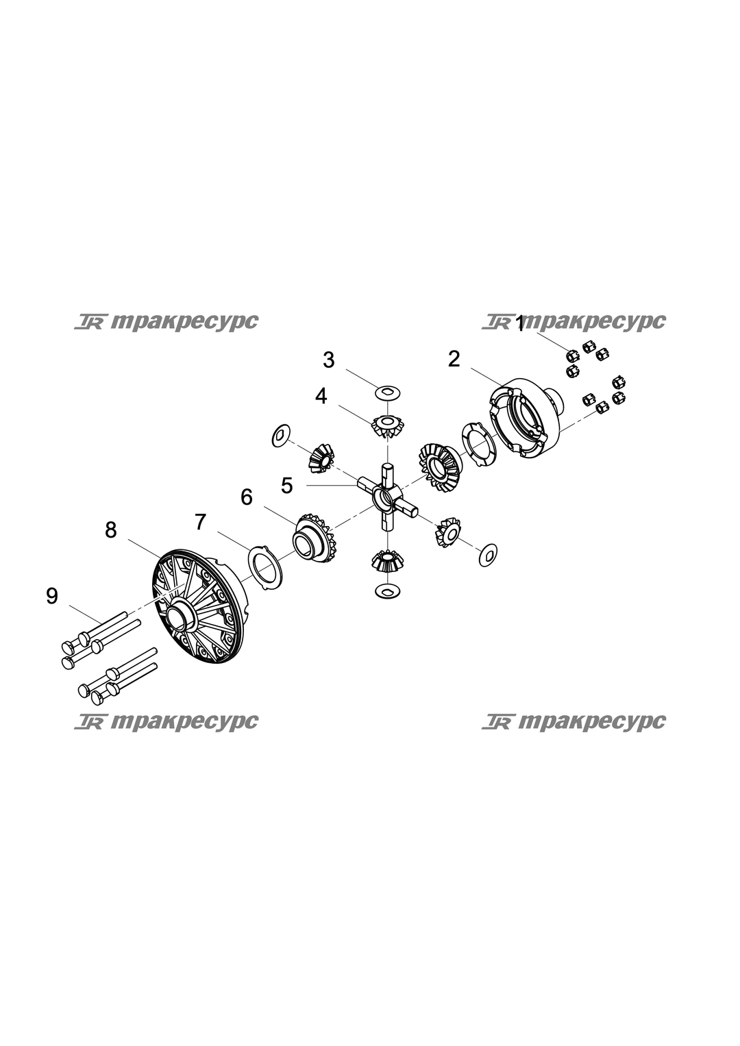 P000003209A2.png