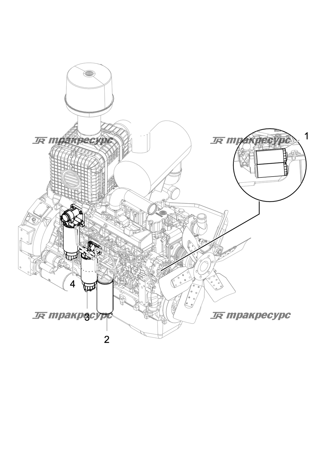 P000003239A2.png
