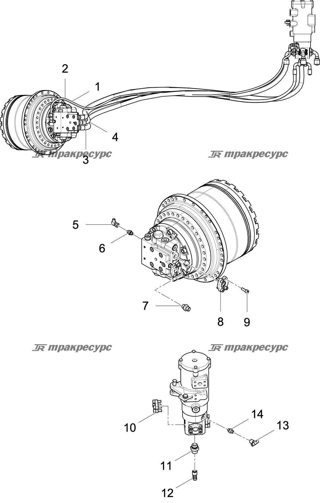 P000003339A2.png