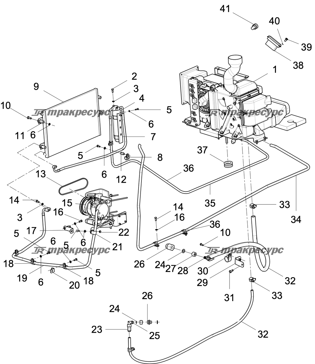 P000003391A10.png