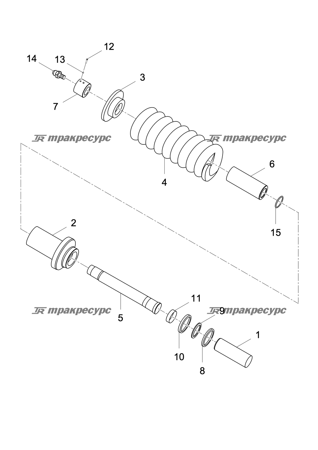 P000003411A2.png