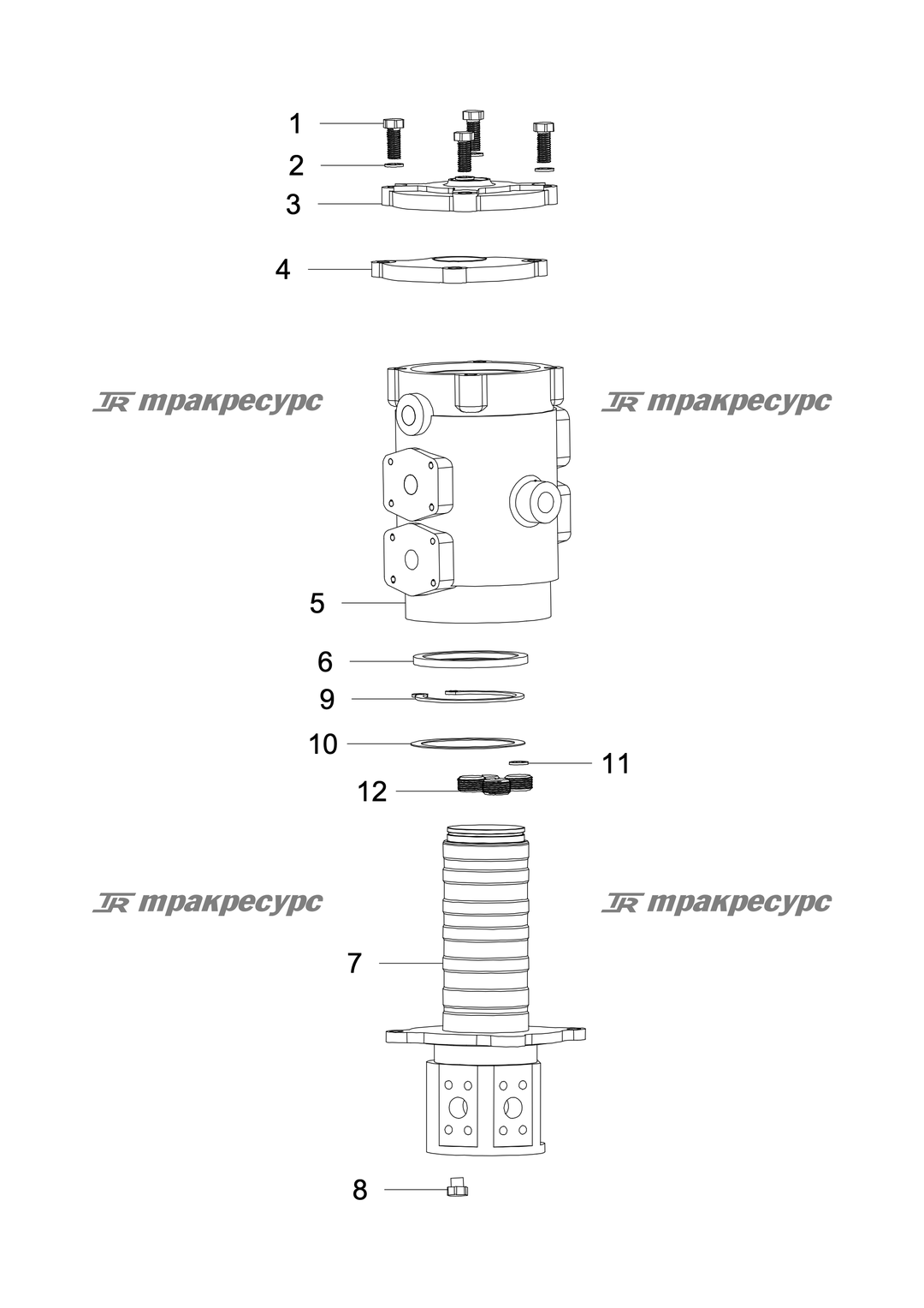 P000003412A2.png