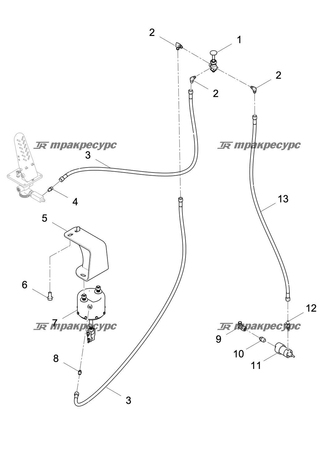 P000003492A3.png