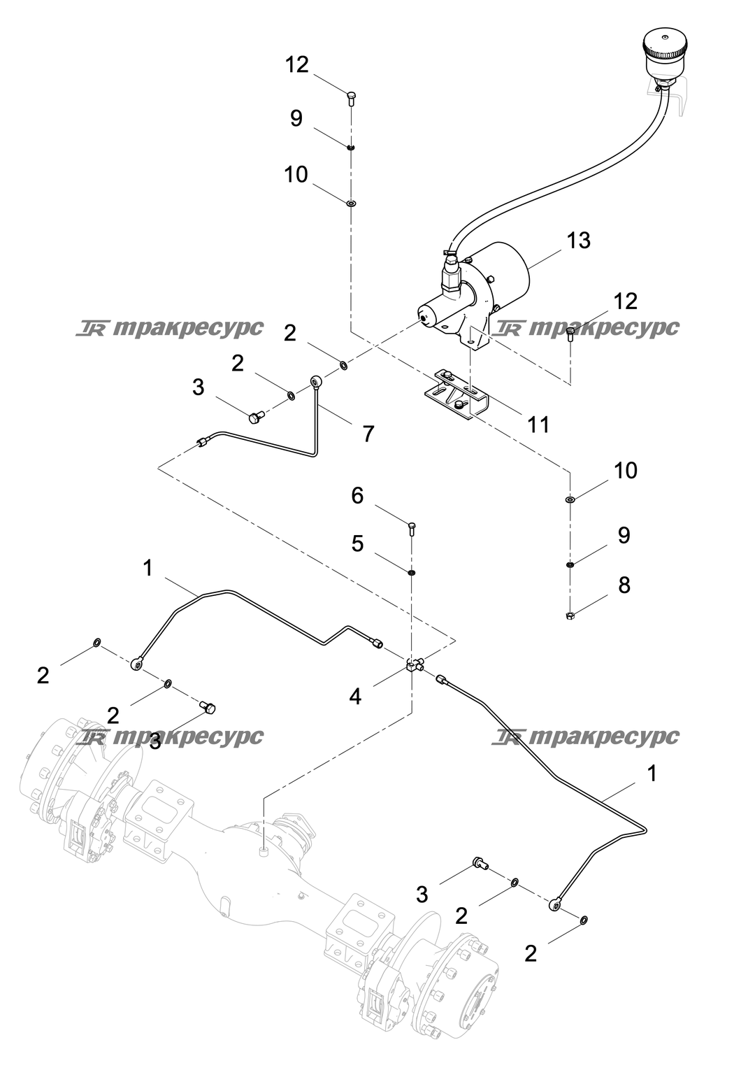 P000003529A3.png
