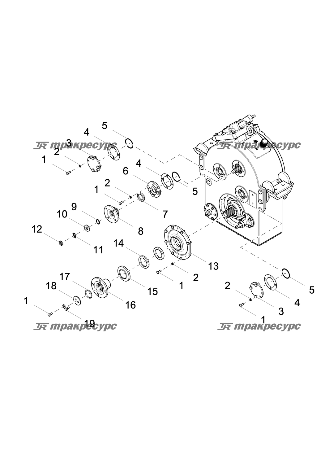 P000003566A2.png