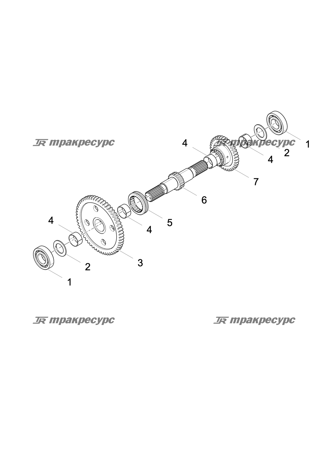 P000003575A2.png