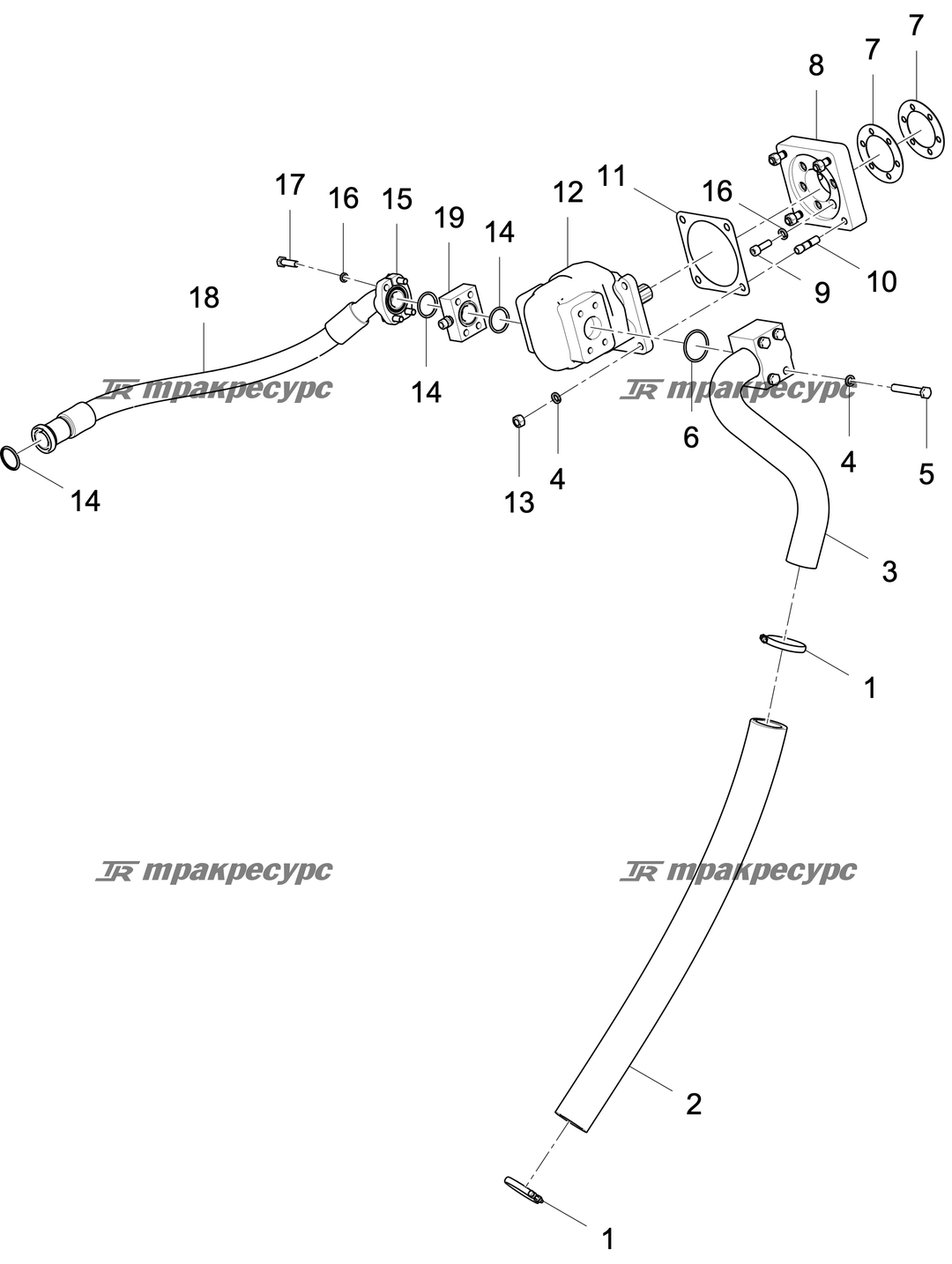 P000003578A2.png