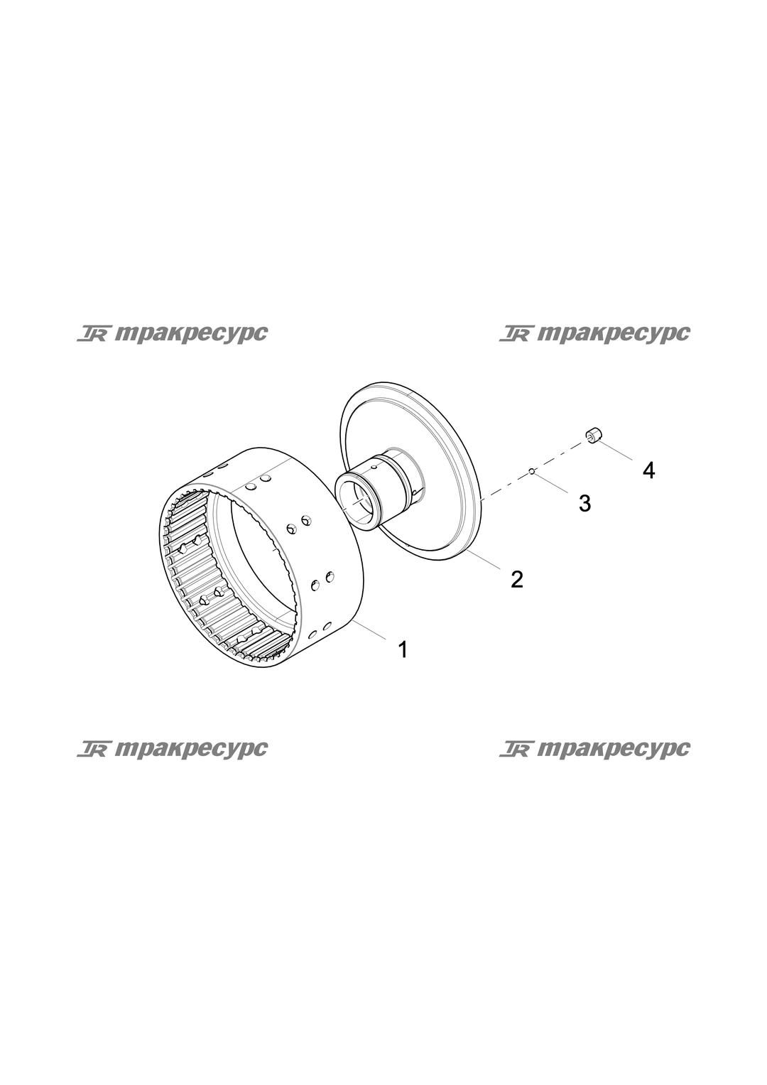 P000003580A2.png