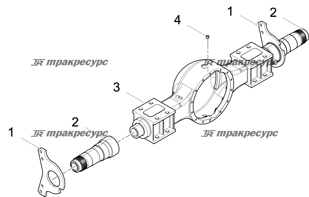 P000003588A3.png