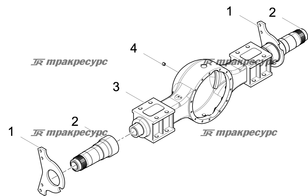 P000003594A3.png