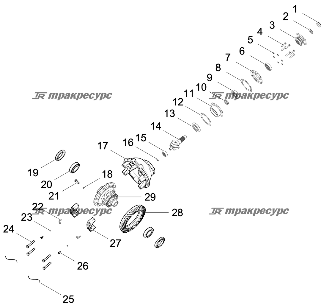 P000003595A3.png