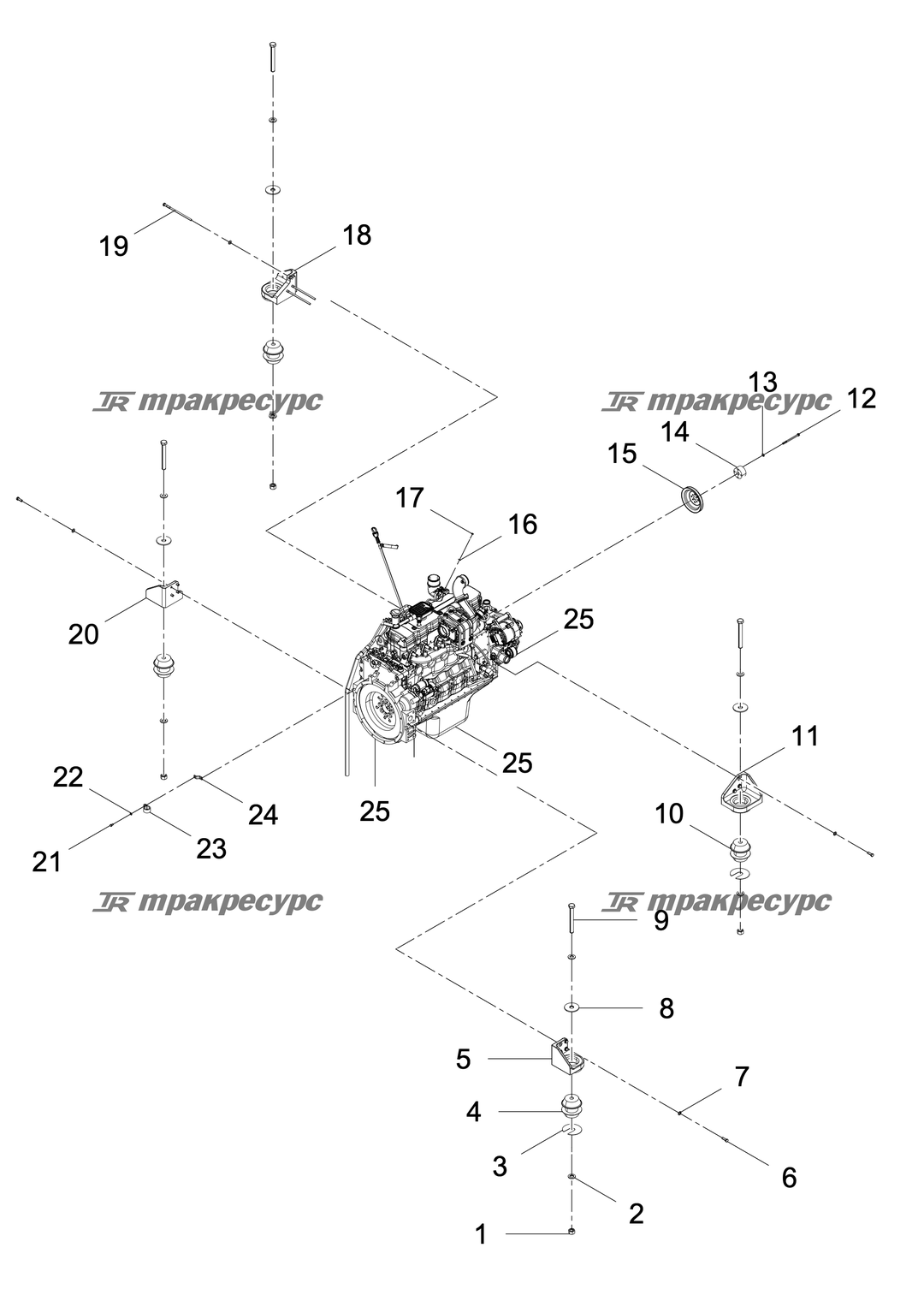 P000003843A3.png