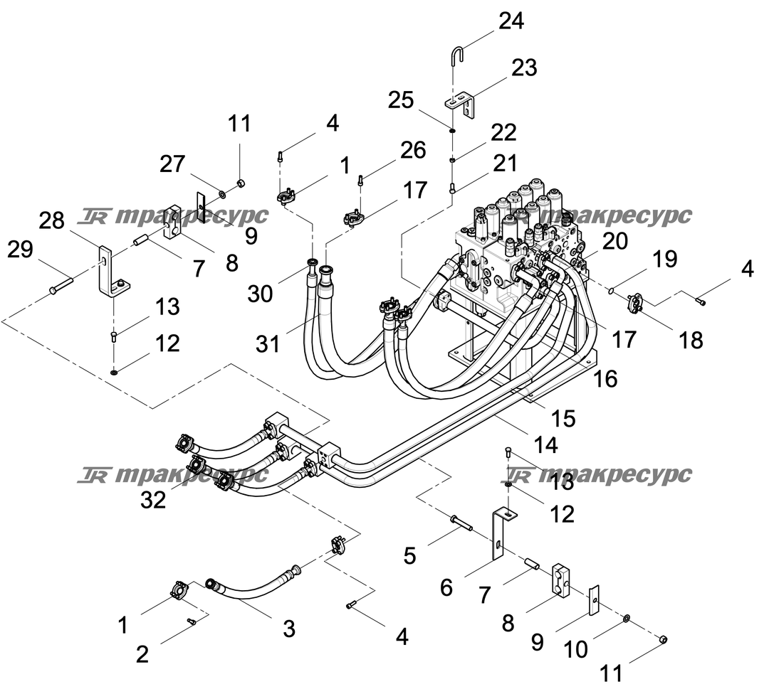P000003888A2.png