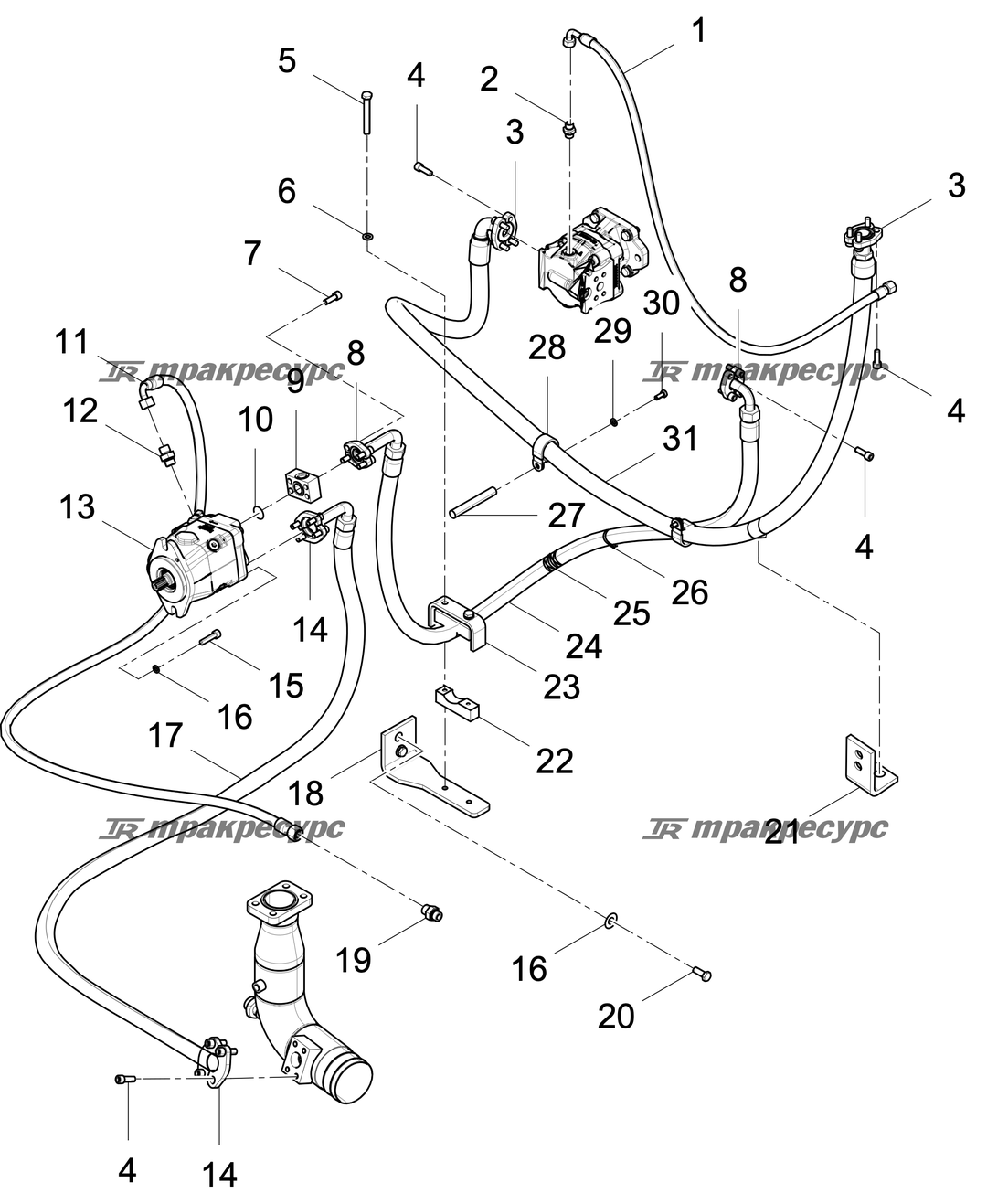 P000003929A2.png