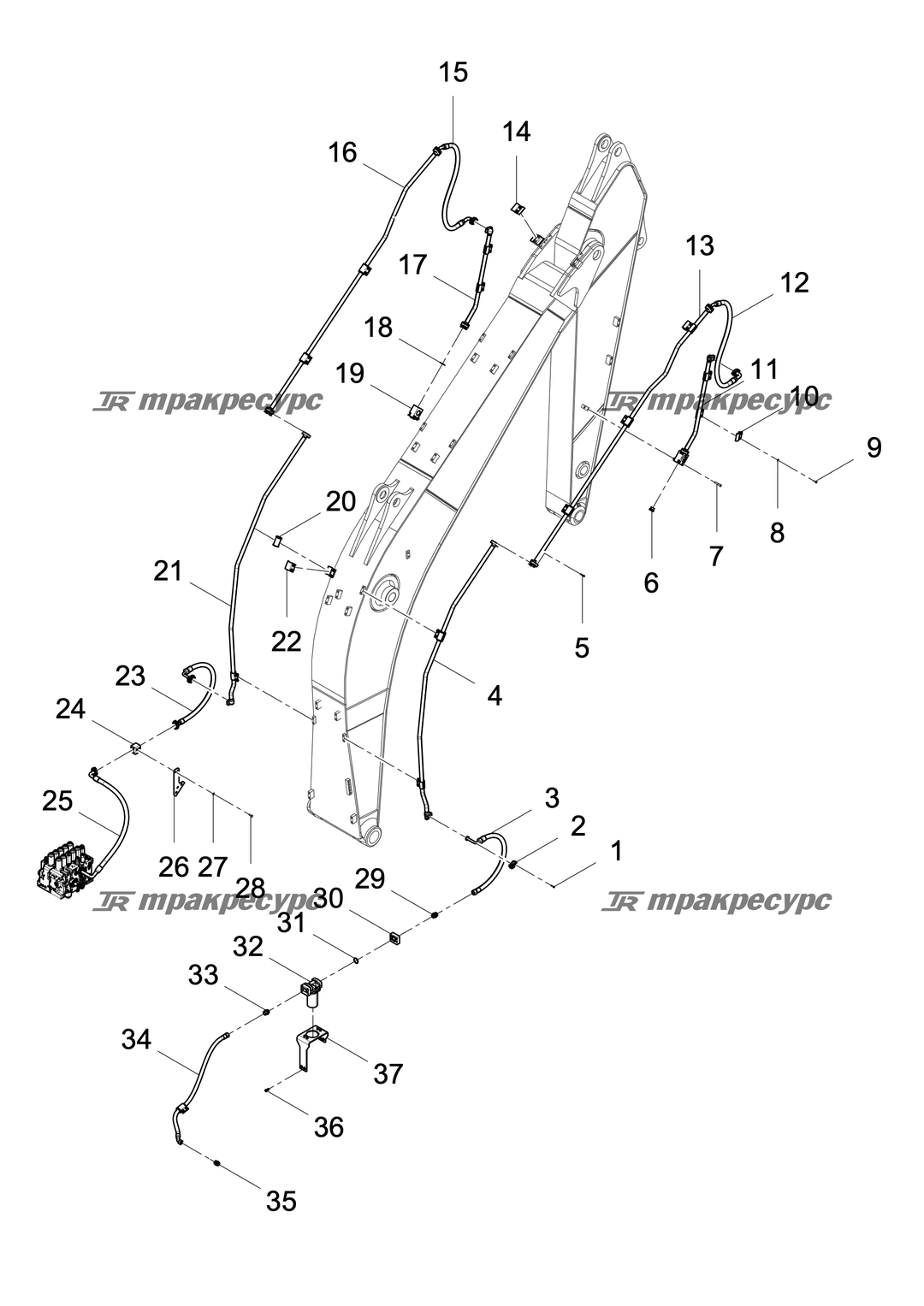 P000004189A2.png