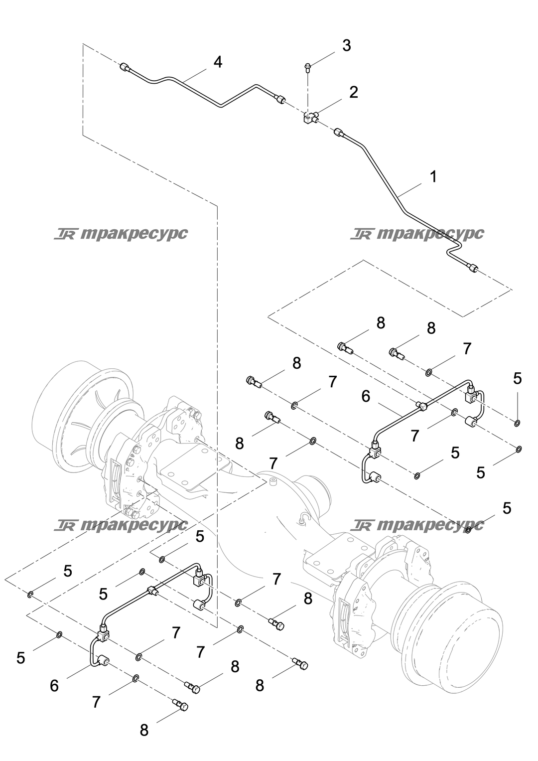 P000004308A2.png
