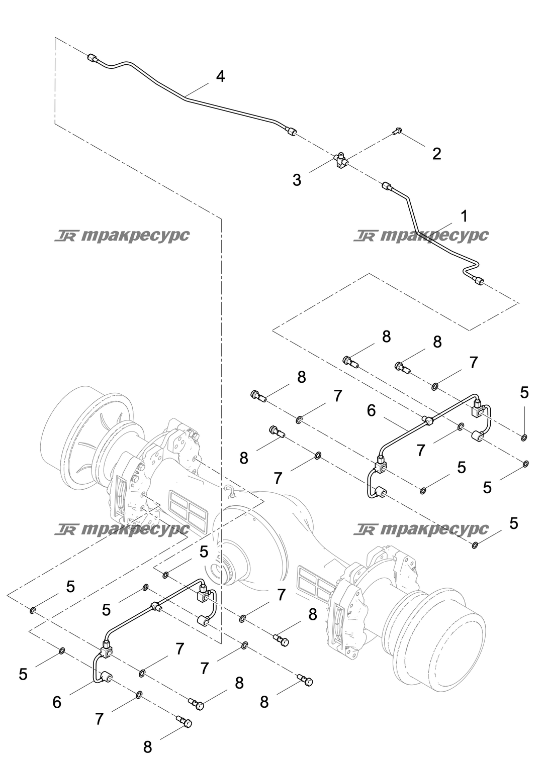 P000004314A2.png