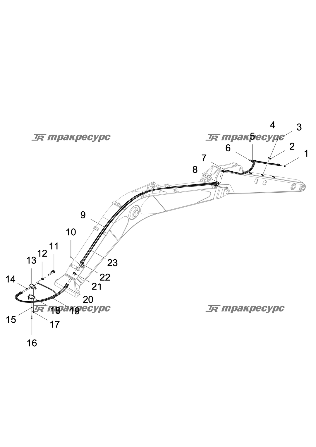 P000004343A2.png
