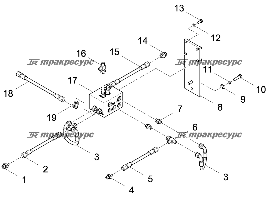 P000004375A2.png