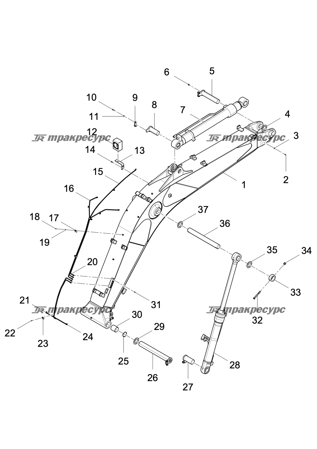 P000004407A2.png