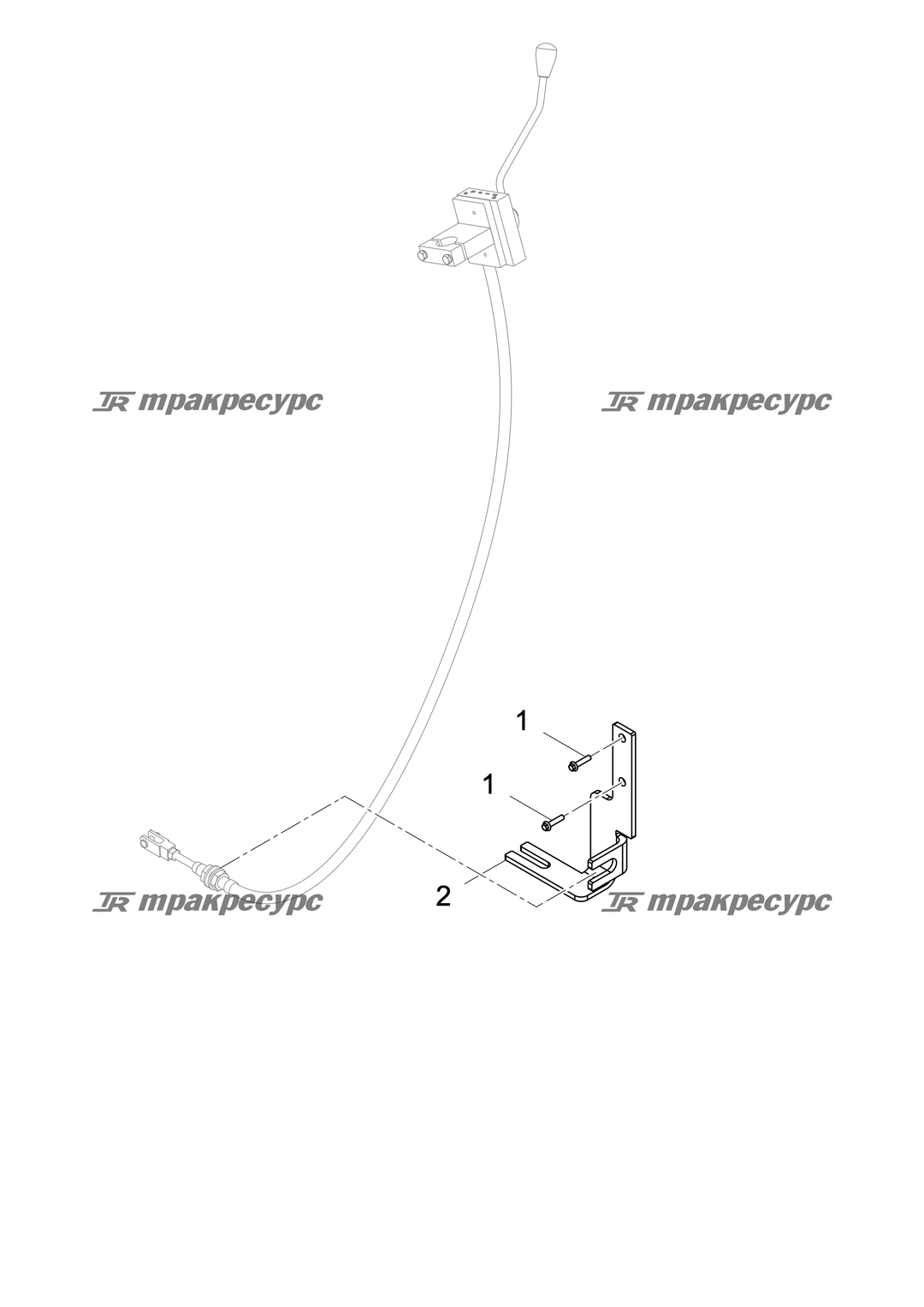 P000004422A2.png