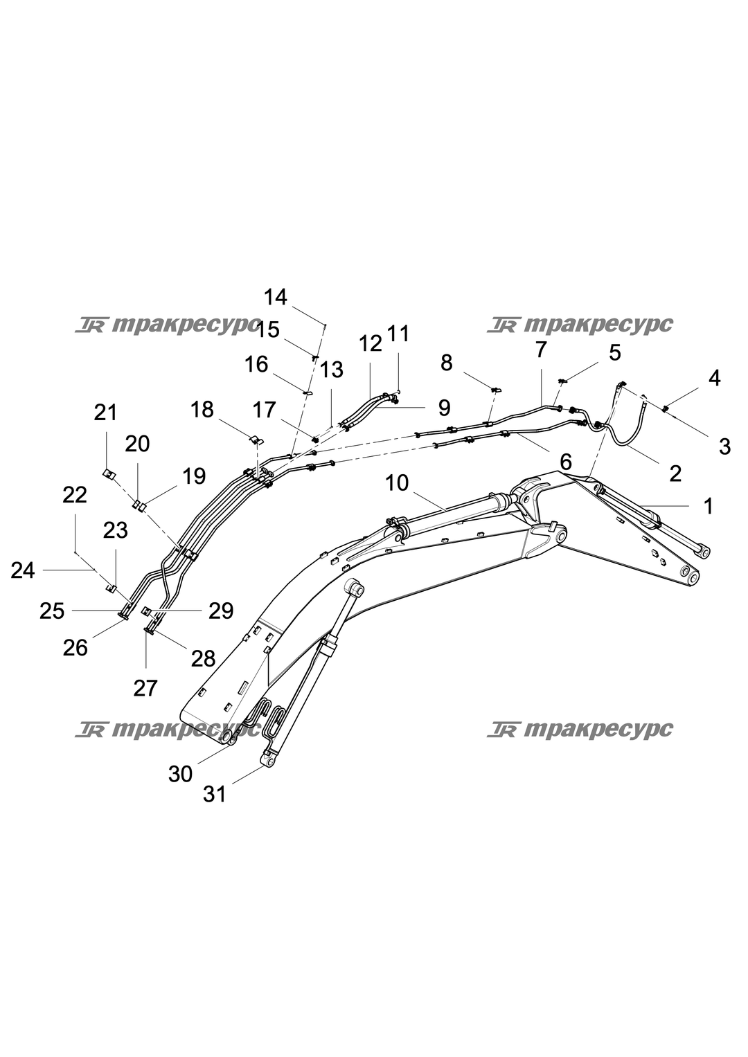 P000004630A2.png