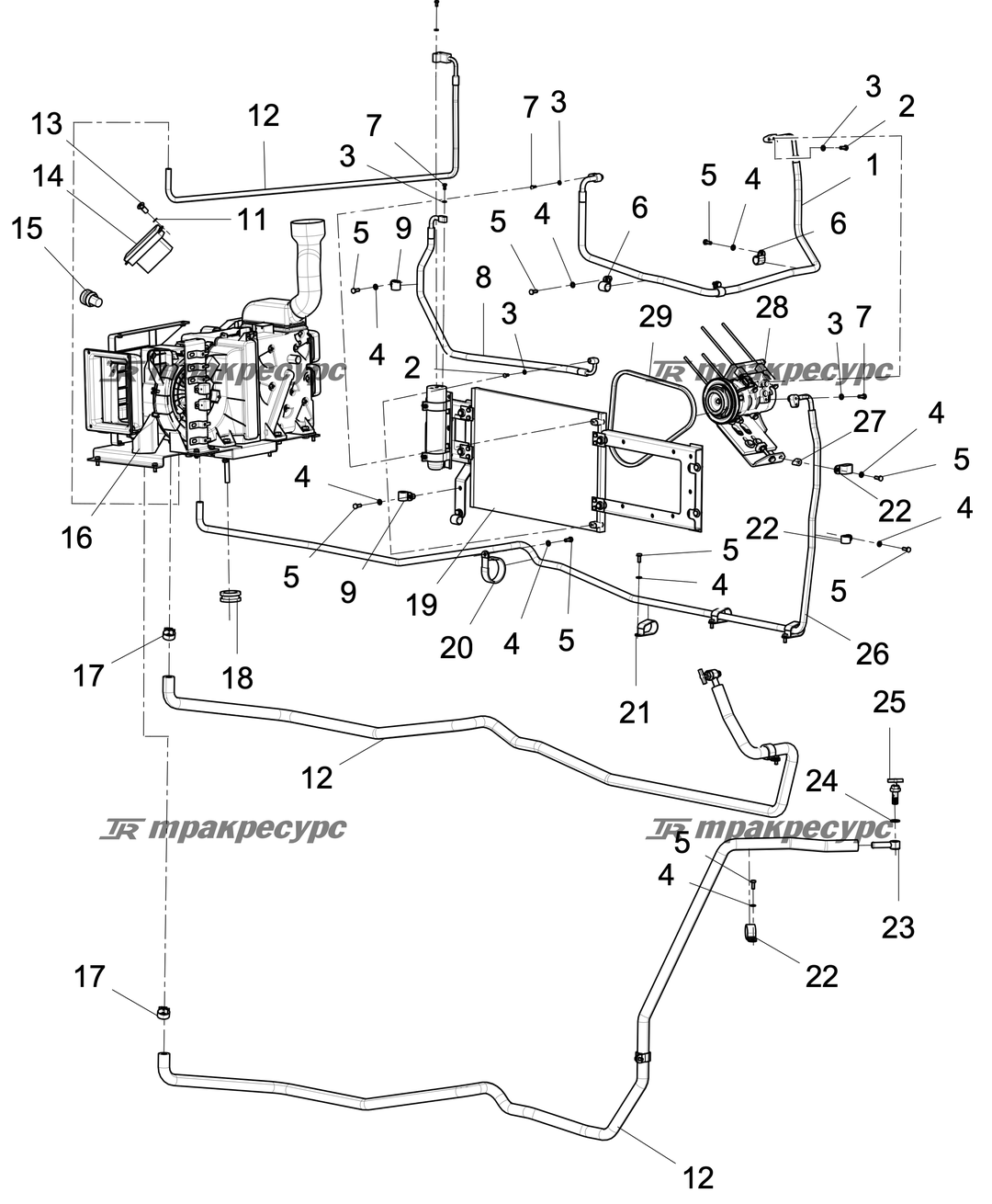 P000004698A6.png