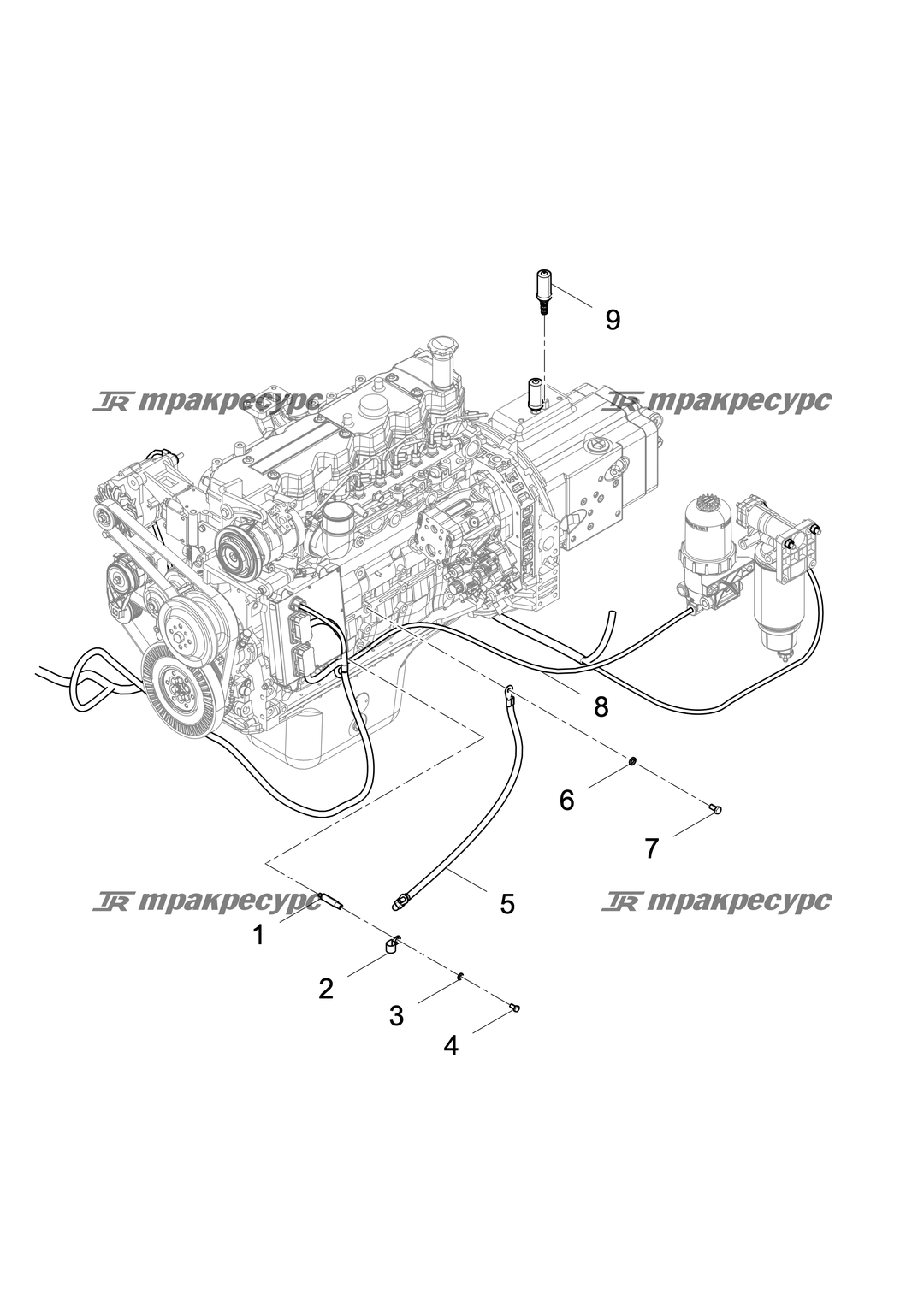 P000004733A2.png