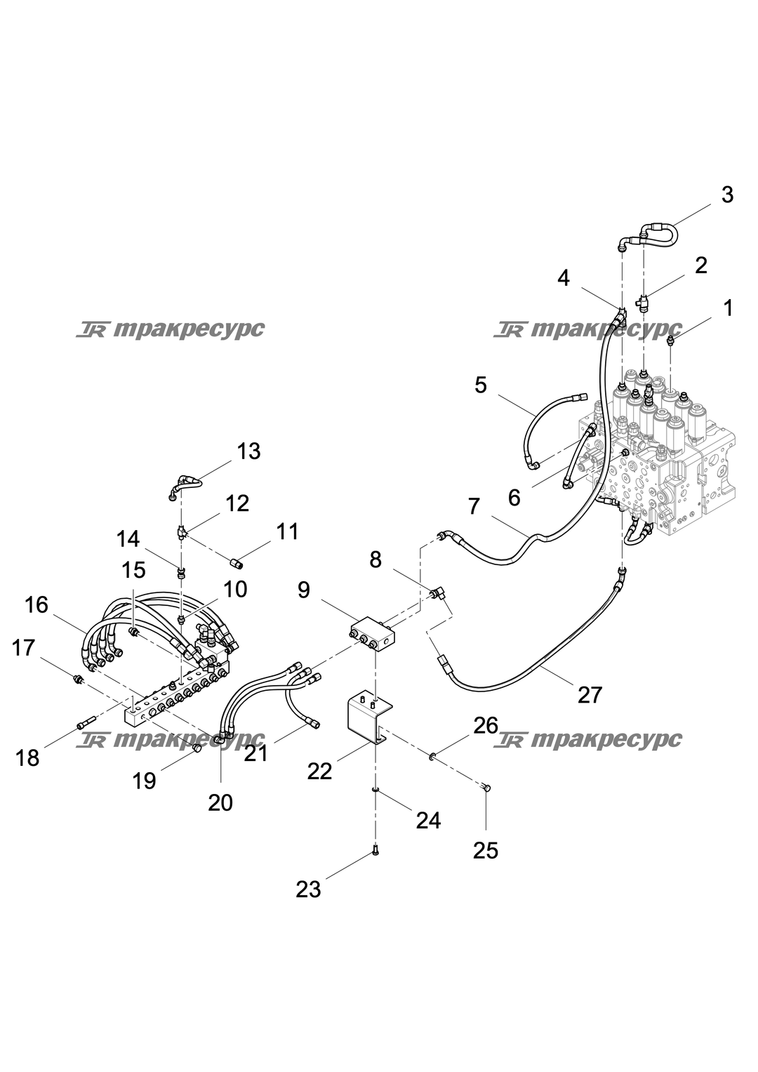 P000004943A2.png
