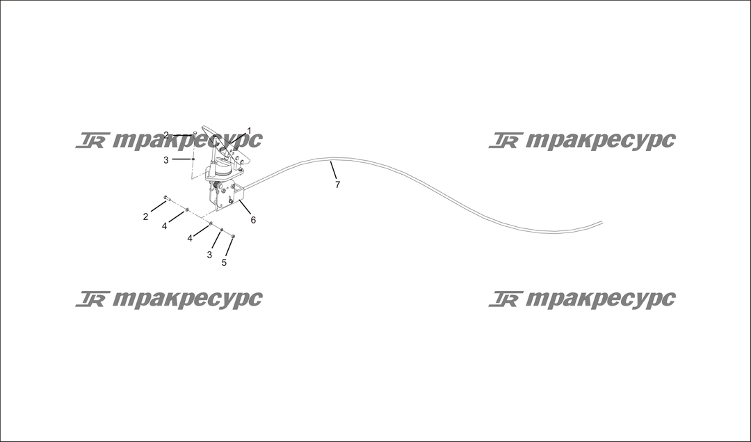 P000005.png