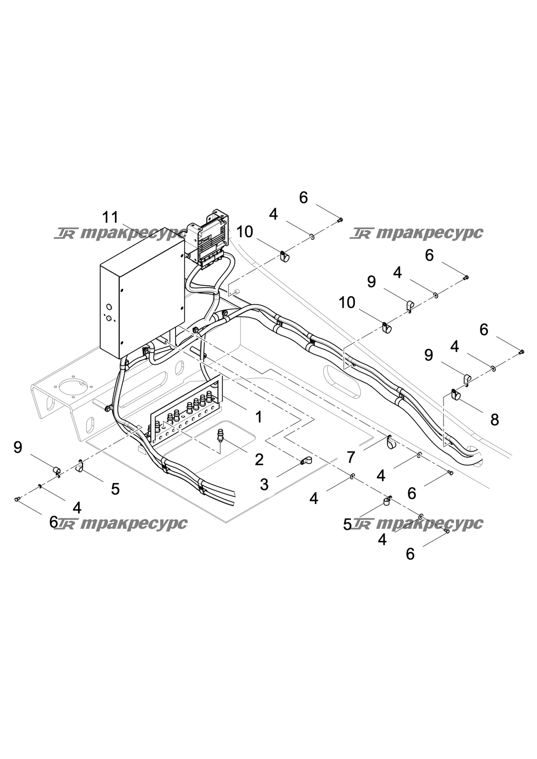 P000005588A2.png