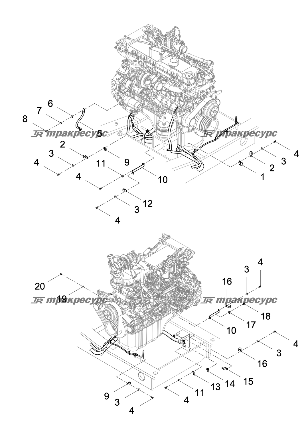 P000005591A2.png