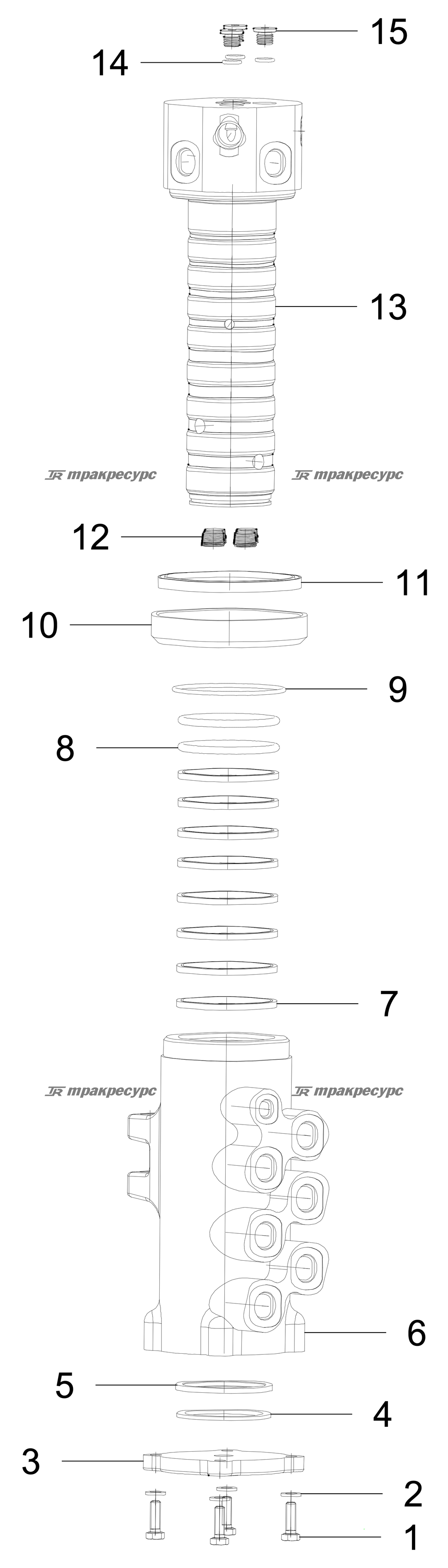 P000005638A3.png
