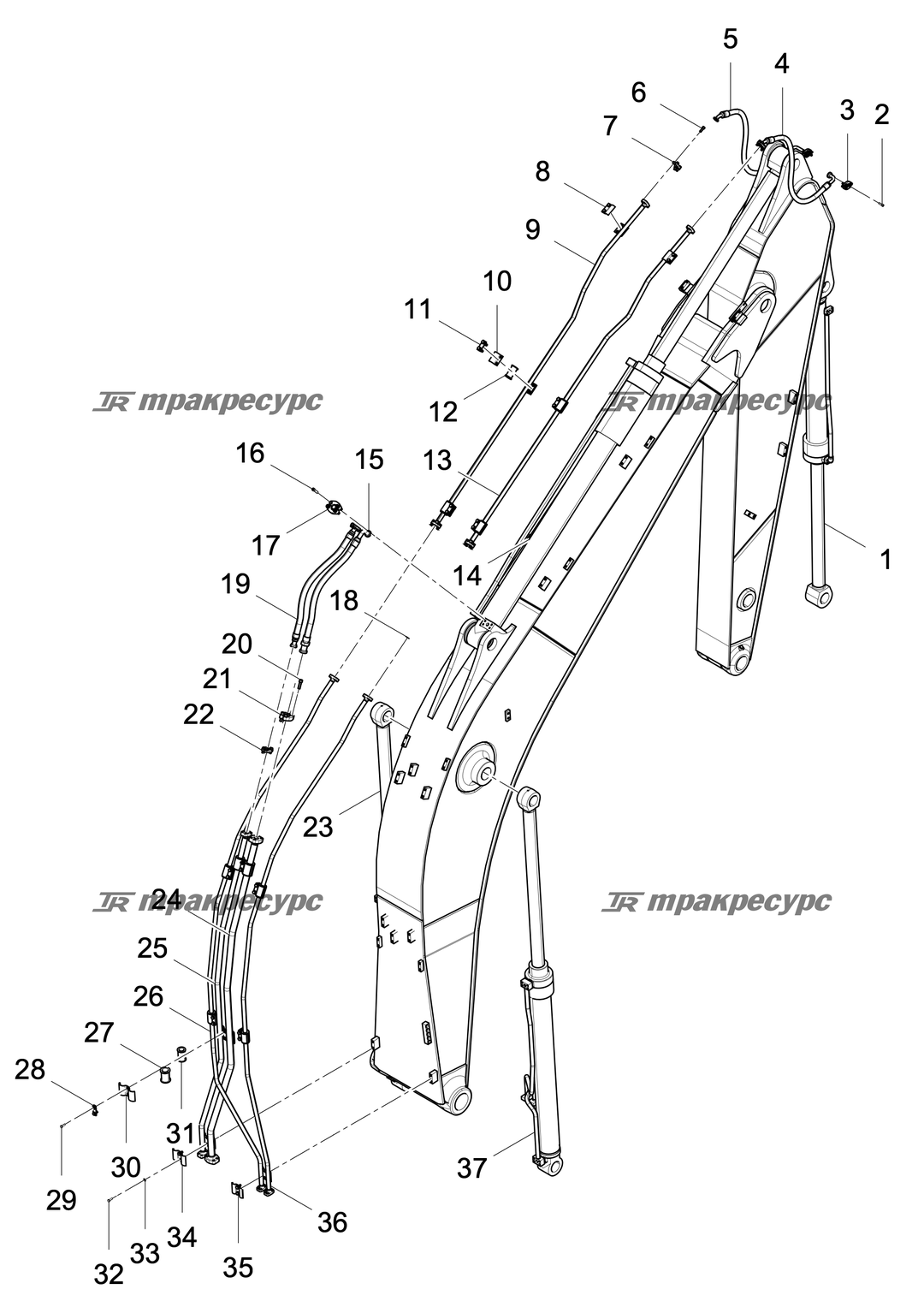 P000005808A2.png