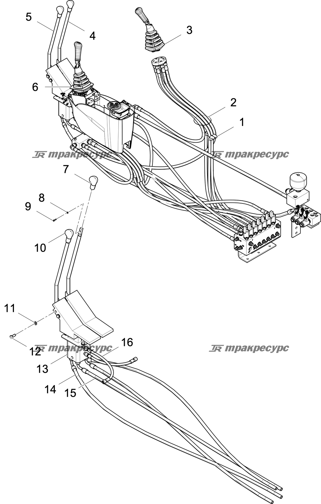 P000005810A2.png