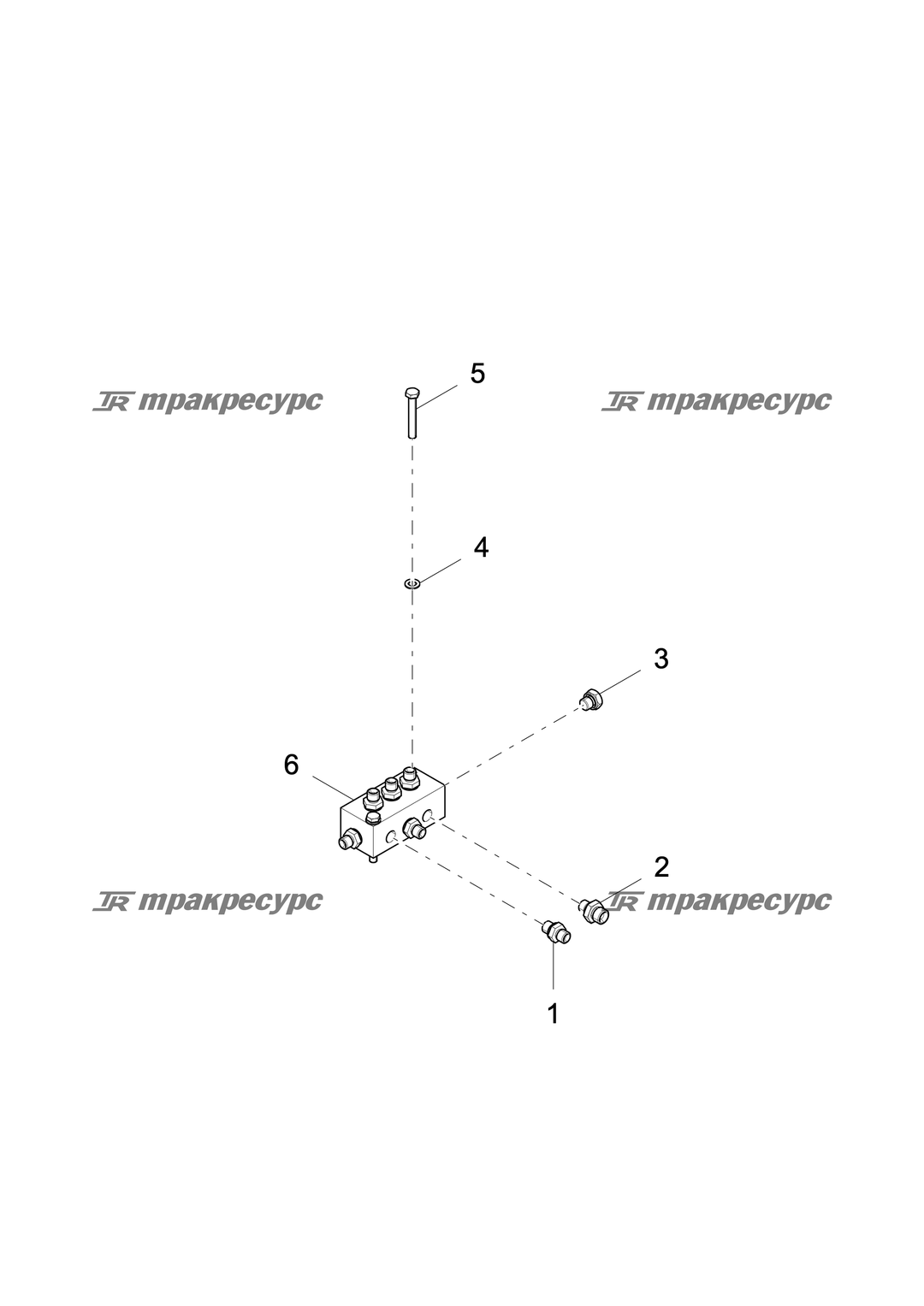 P000006388A2.png