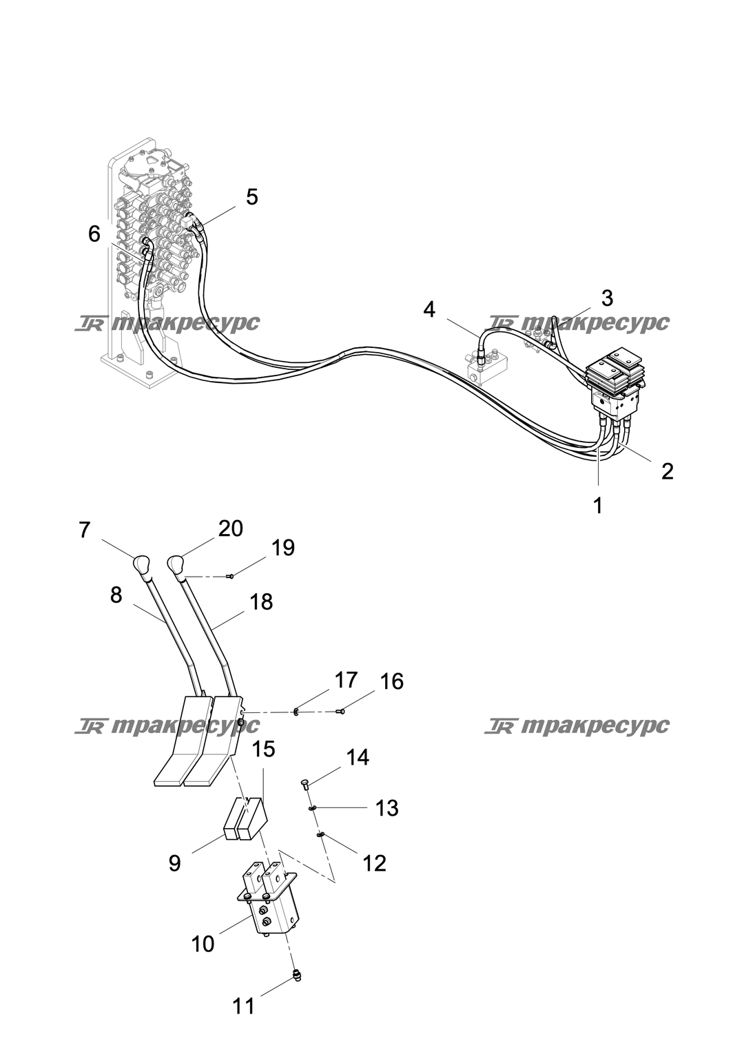 P000006389A2.png