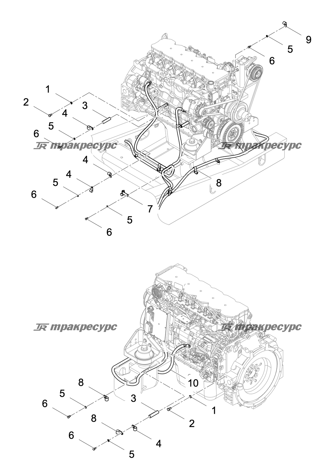 P000006405A2.png