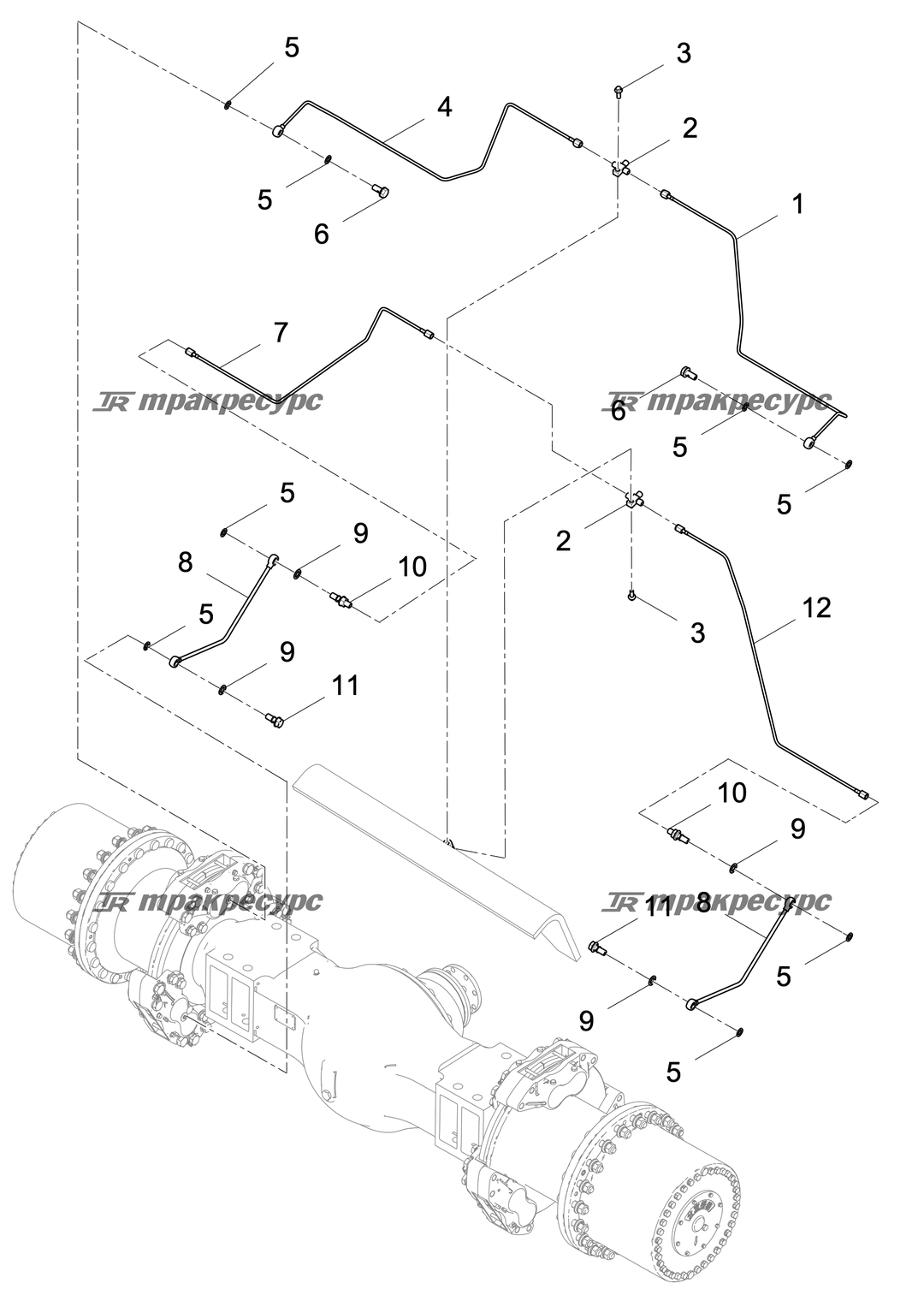 P000006805A2.png