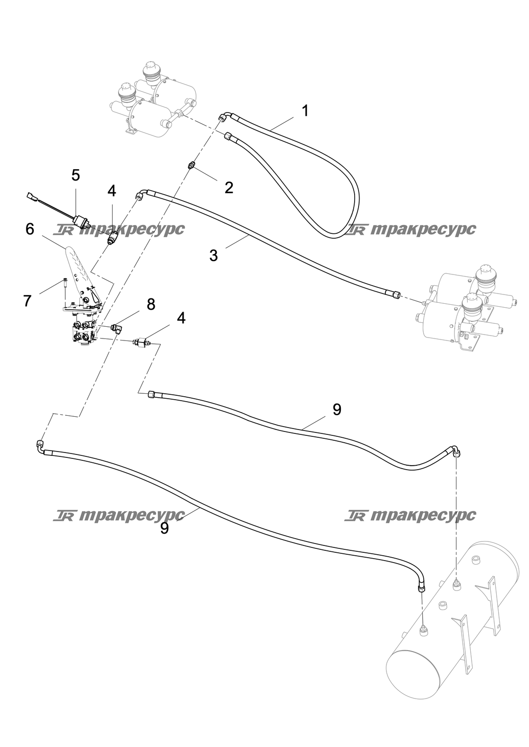 P000006811A2.png