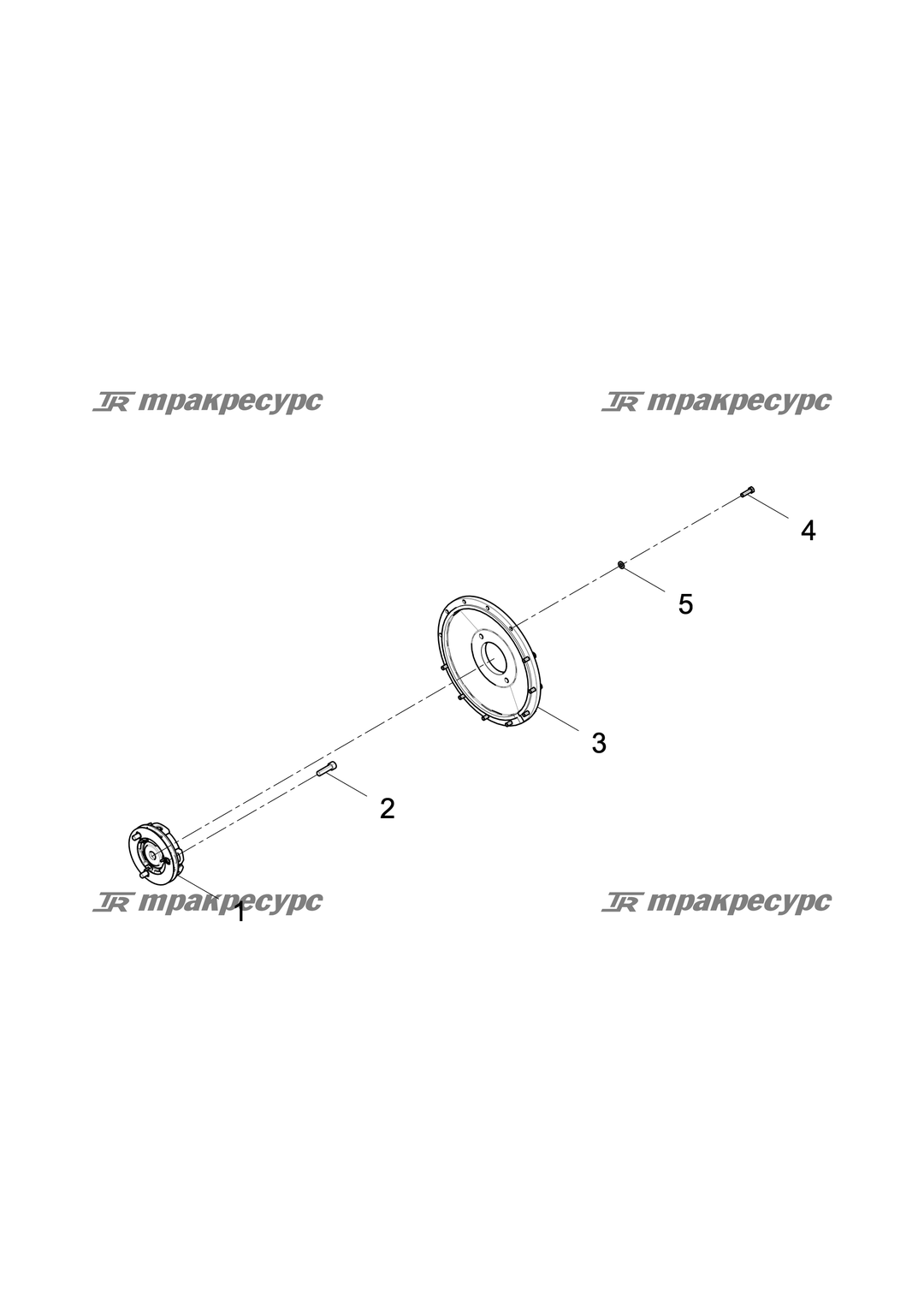 P000006847B2.png