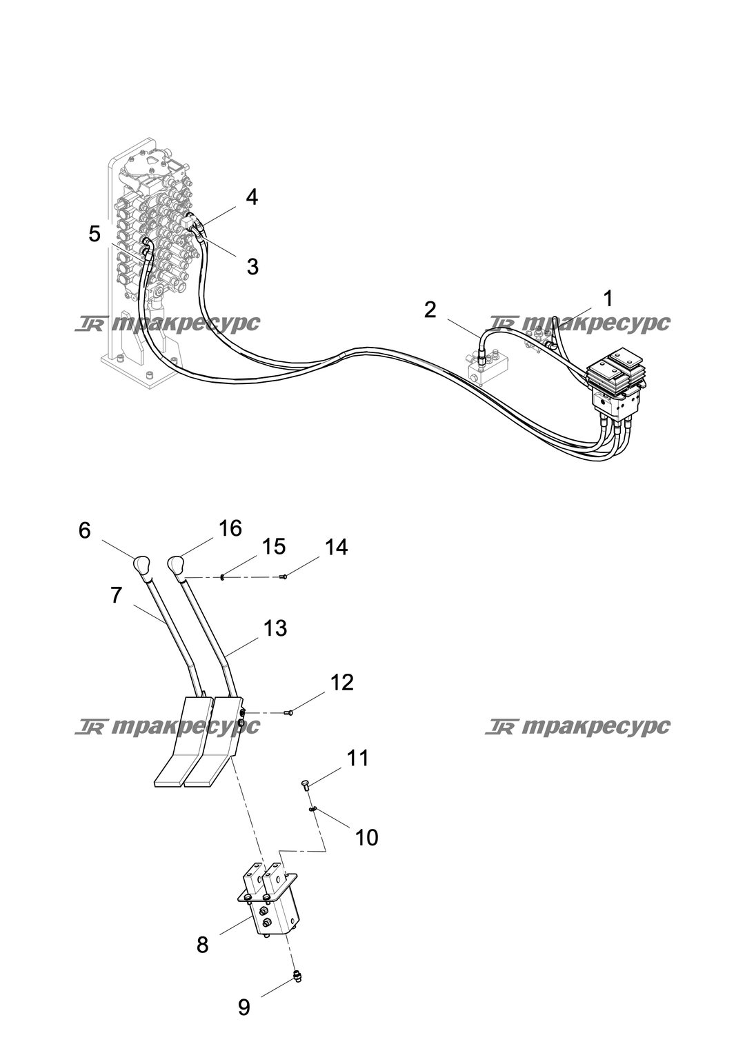 P000007622A2.png