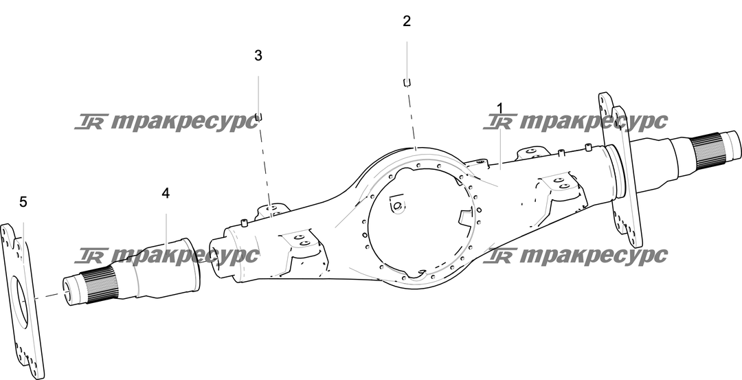 P000007944A2.png