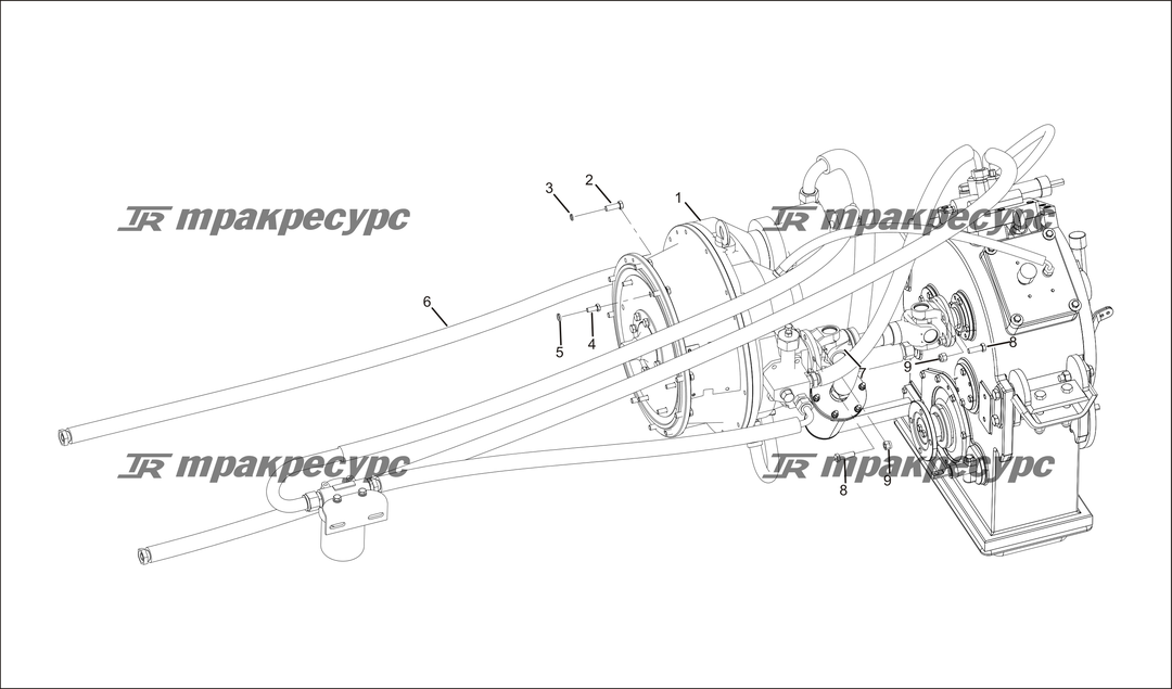 P000007.png